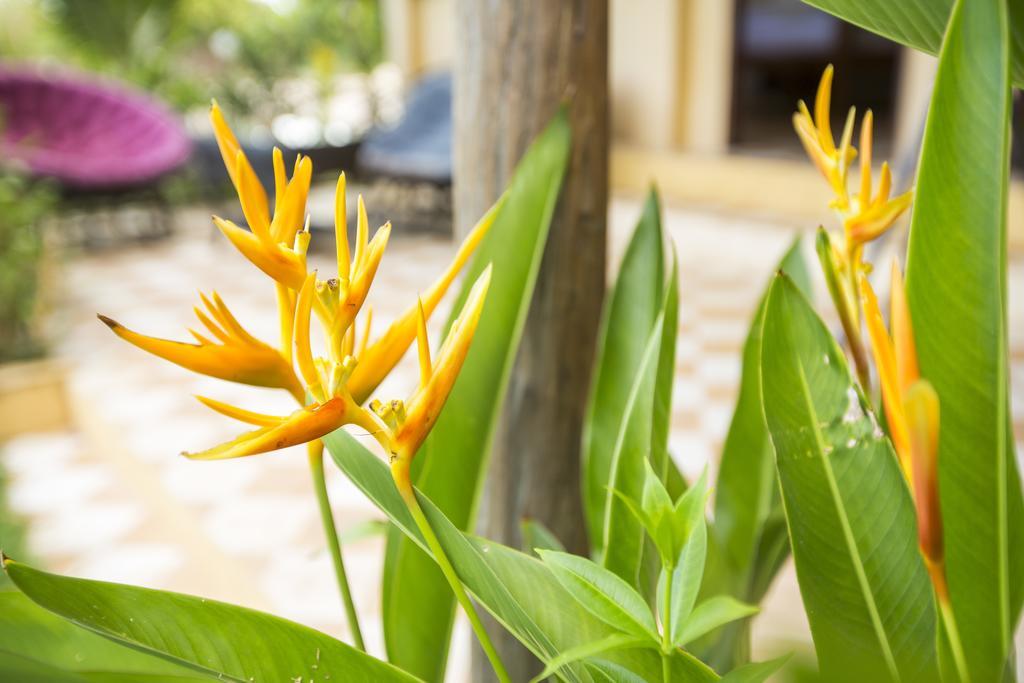 Champa Lodge Kampot Exterior photo